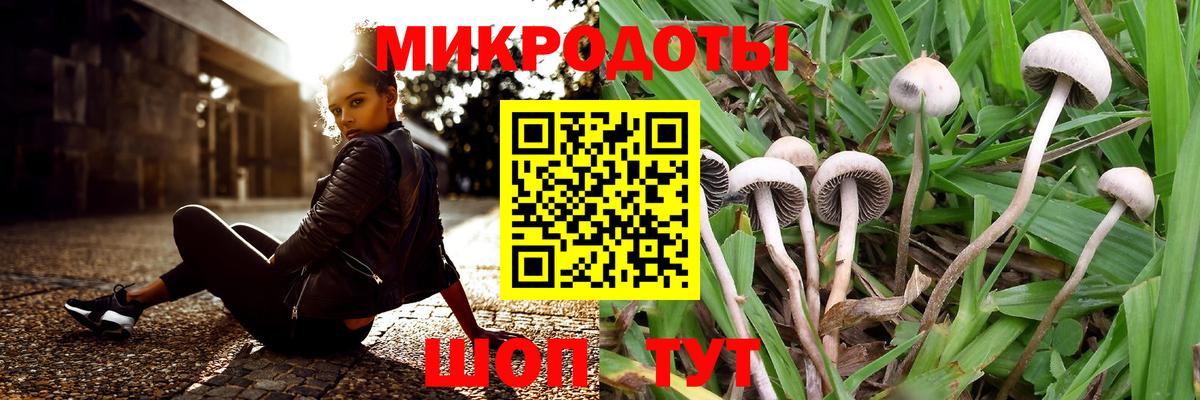 продажа наркотиков  Галлюциногенные грибы мицелий  Вход с VPN  Краснодар 